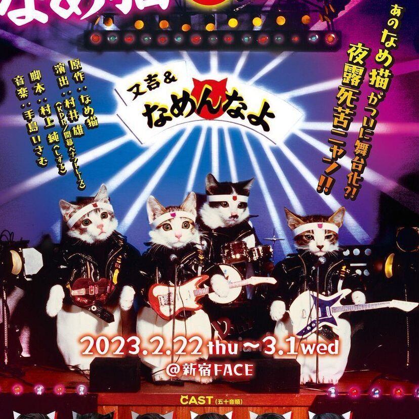 80年代にブームとなった「なめんなよ」なめ猫の舞台『なめ猫 on STAGE』が上演決定！！
