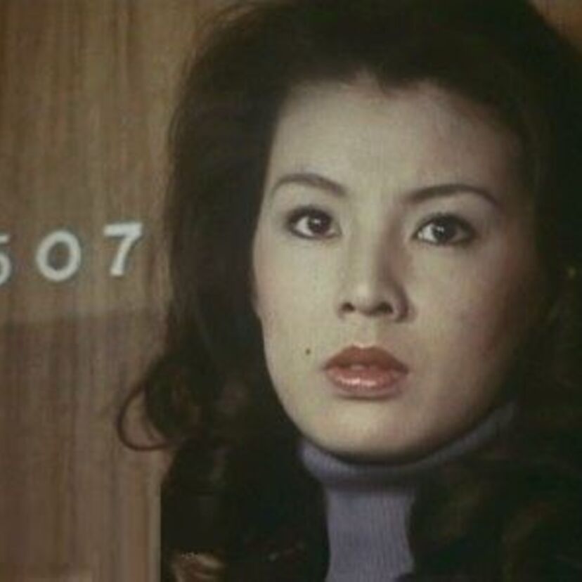 【女優☆篠ひろ子】憂い系なのにコメディドラマにも多数出演９０年代までを振り返る