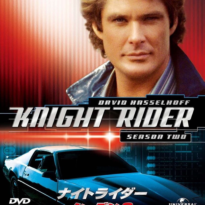 ドラマ『ナイトライダー』でお馴染みの【デビッド・ハッセルホフ】はいま何してる？