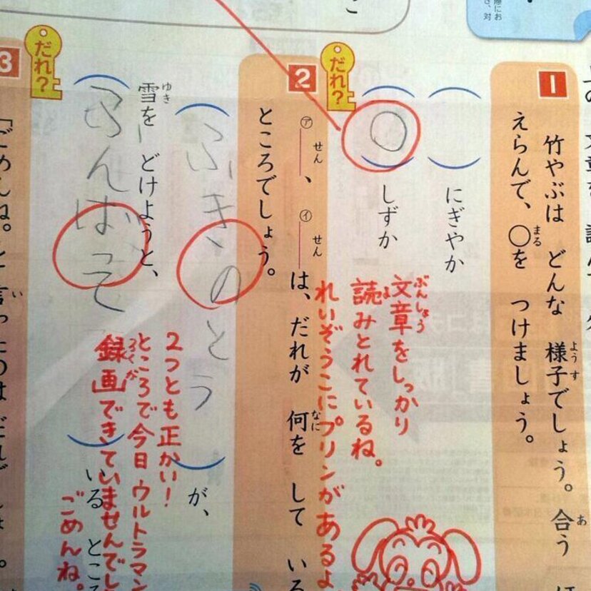 進研ゼミ、学研・・・etc家庭用学習教材、なにやってた？