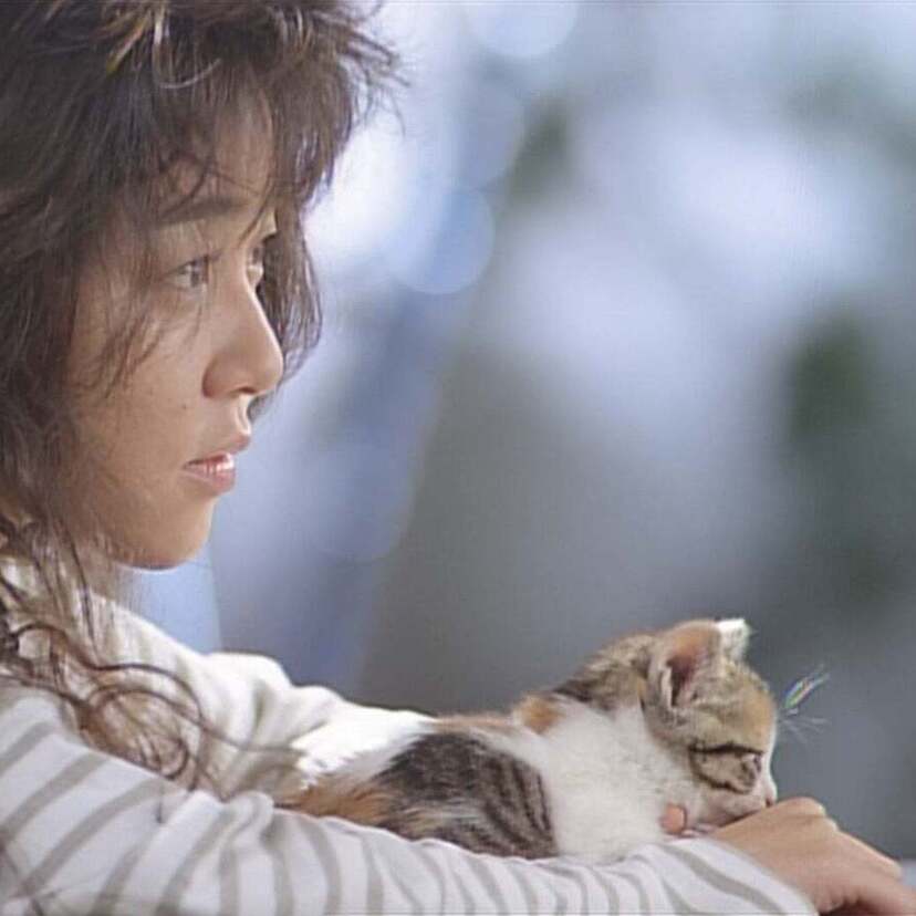 谷村有美のミュージックビデオがYouTube公式チャンネルで公開開始！！