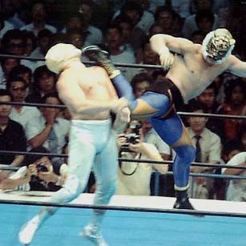 延髄斬り、ドロップキック、ジャンピングニー。プロレスにおける蹴りの種類を画像で勉強。