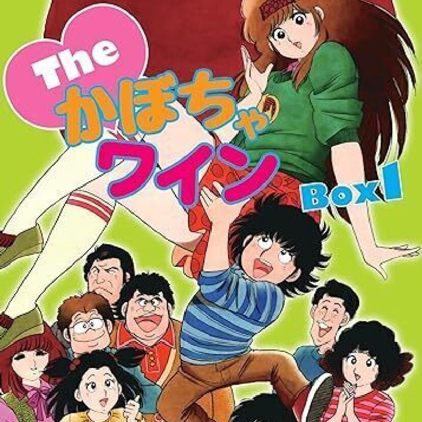 【80年代アニソン】女の子がメインのアニメソング5選