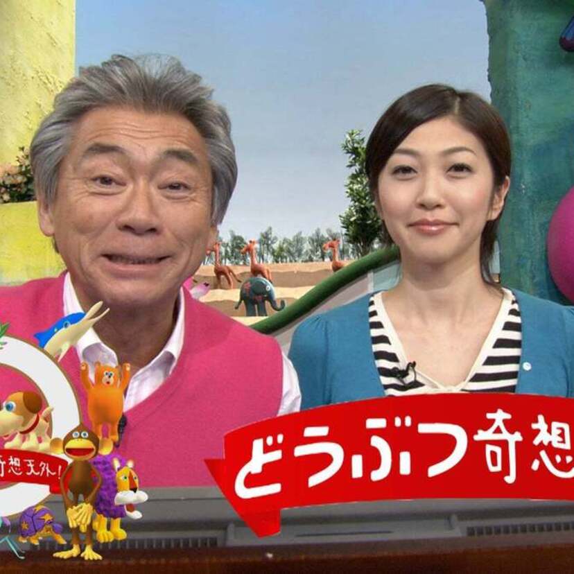 あの人気動物番組が配信で復活！『どうぶつ奇想天外！』の傑作30選がU-NEXTで独占初配信決定！！