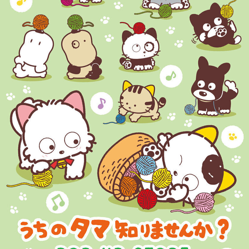 タマ＆フレンズのPOP UP STOREが京王百貨店新宿店で期間限定オープン！サンリオキャラのコラボ商品も都内初登場！！