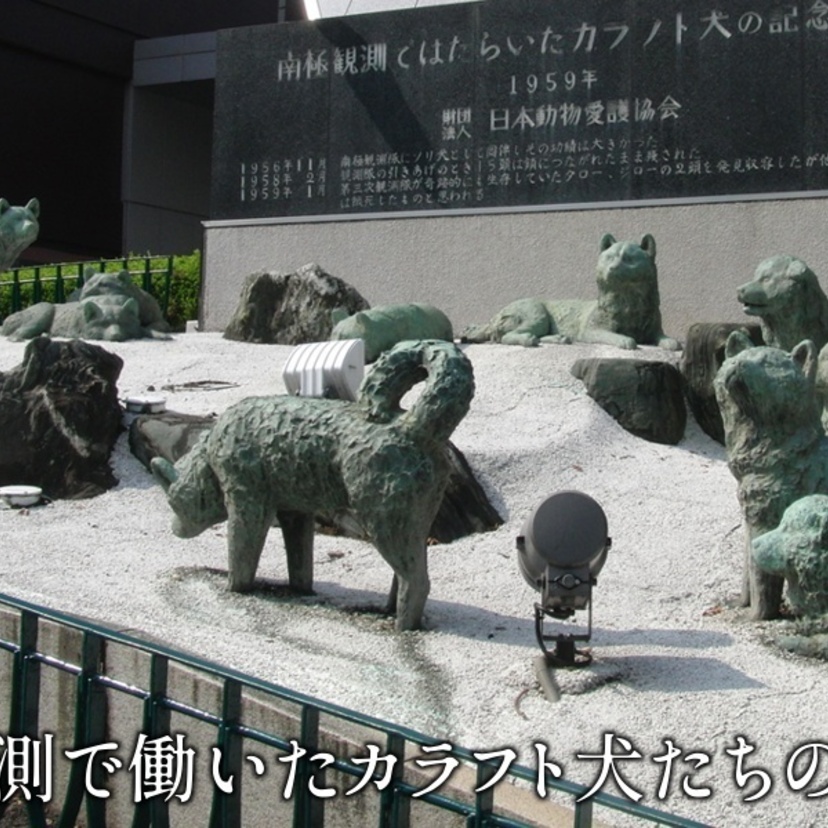 南極観測70周年。タロとジロの奇跡を語り継ぐ『新装改訂版 南極犬物語』が好評につき重版決定！