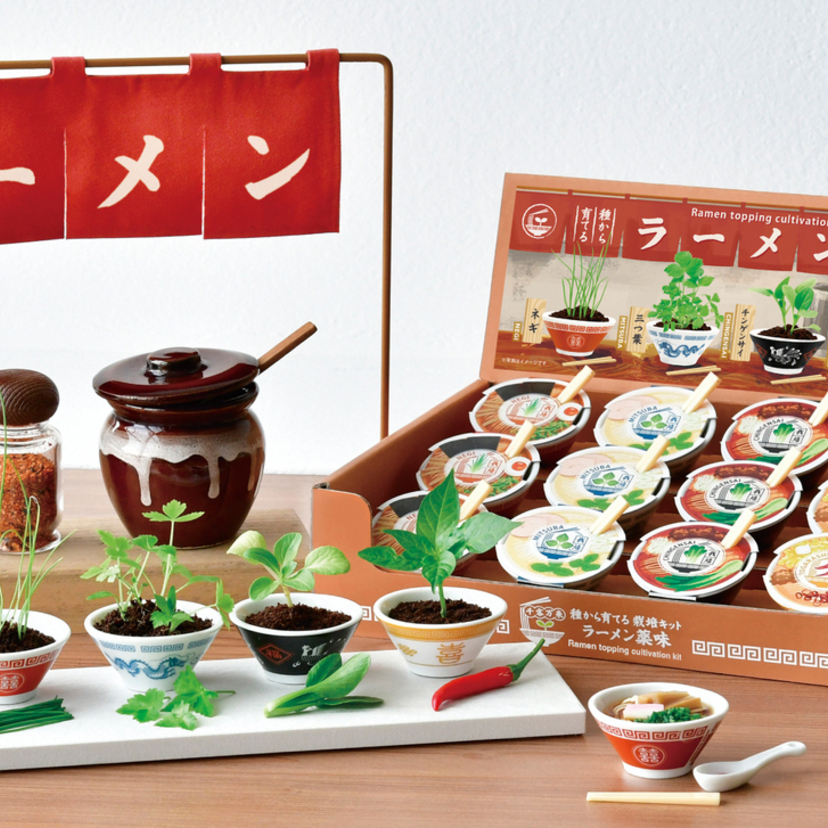 手のひらサイズの昭和レトロなミニラーメン鉢で薬味を育てる栽培キットが発売