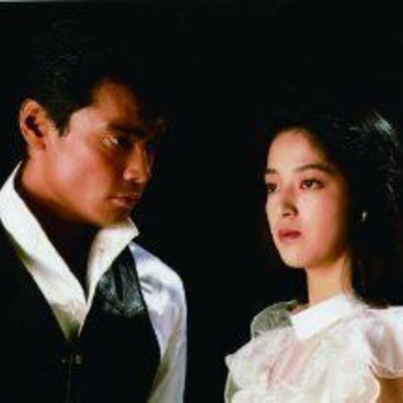 高木美保主演の昼ドラ「華の嵐」