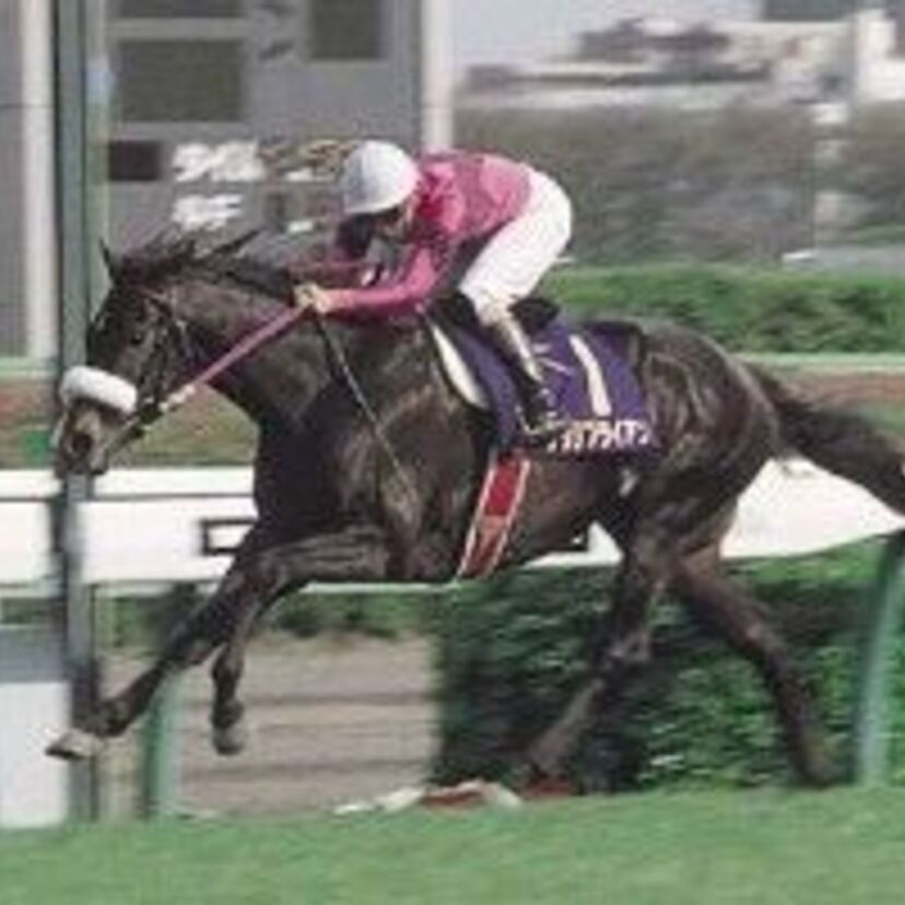 最強の三冠馬は「ナリタブライアン」に決まってると言いつづけて早20年