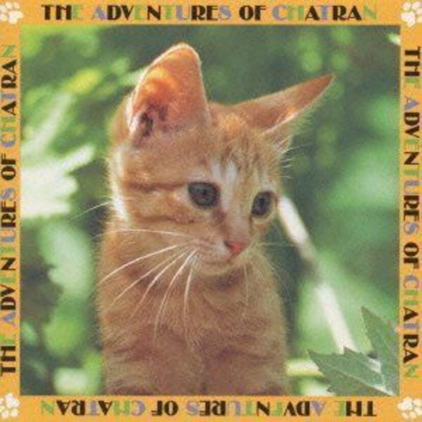 ムツゴロウ（畑正憲）さんが監督・脚本を手掛けた映画「子猫物語」、主人公の子猫チャトランが可愛かった。