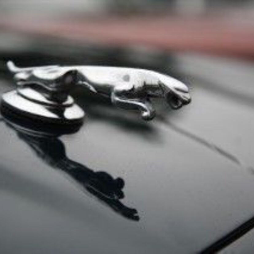 そういえばジャガーやベンツなど高級車のボンネットマスコットが無くなったような…