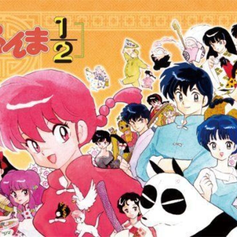 高橋留美子が送る、恋愛乱闘アクションストーリー！！アニメ『らんま1/2』
