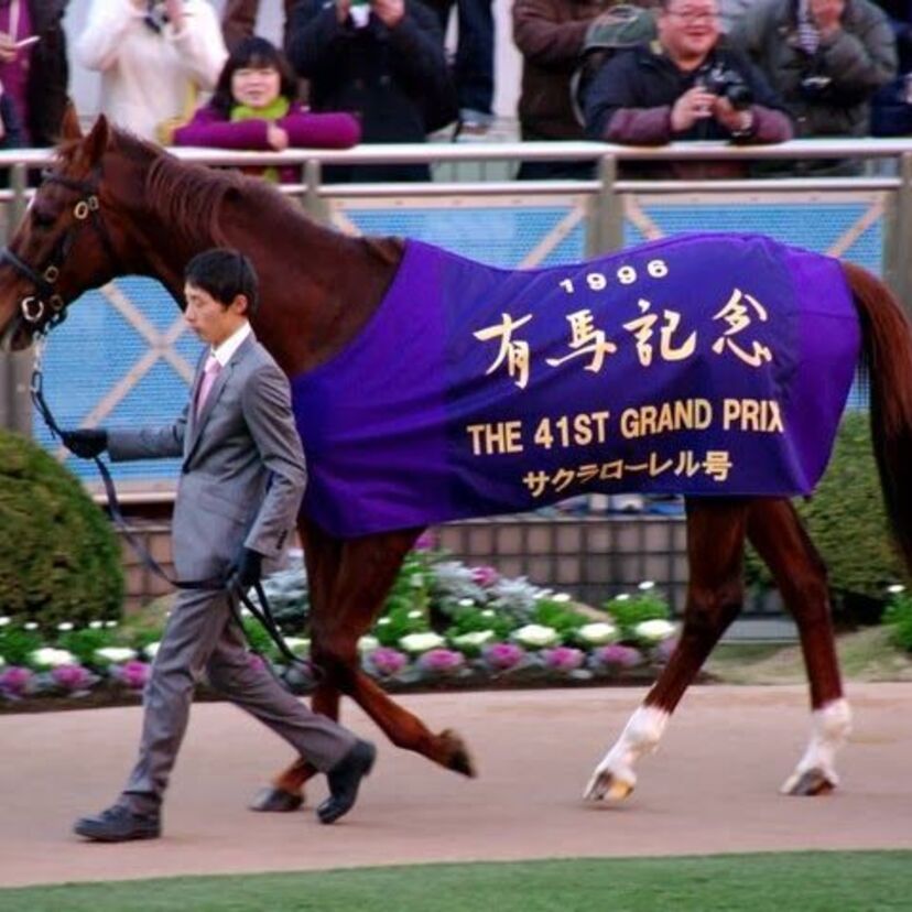 「有馬記念」最も売り上げた年は875億円でギネス記録になったことも　売り上げで見る JRA