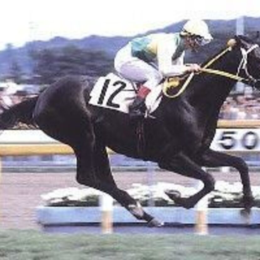天馬の息子ミスターシービー