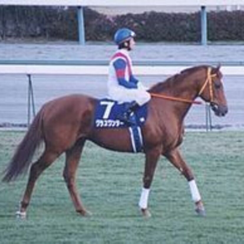 最後まで底が見えなかった20世紀最後の名馬グラスワンダー