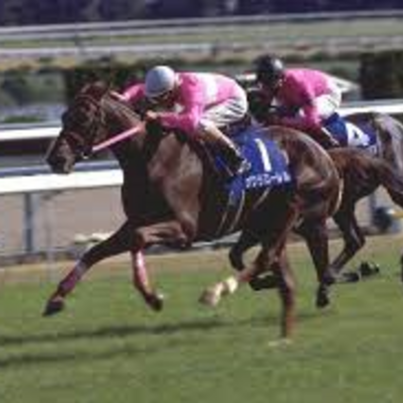 常にケガと闘い続けた遅咲きの桜、サクラローレル