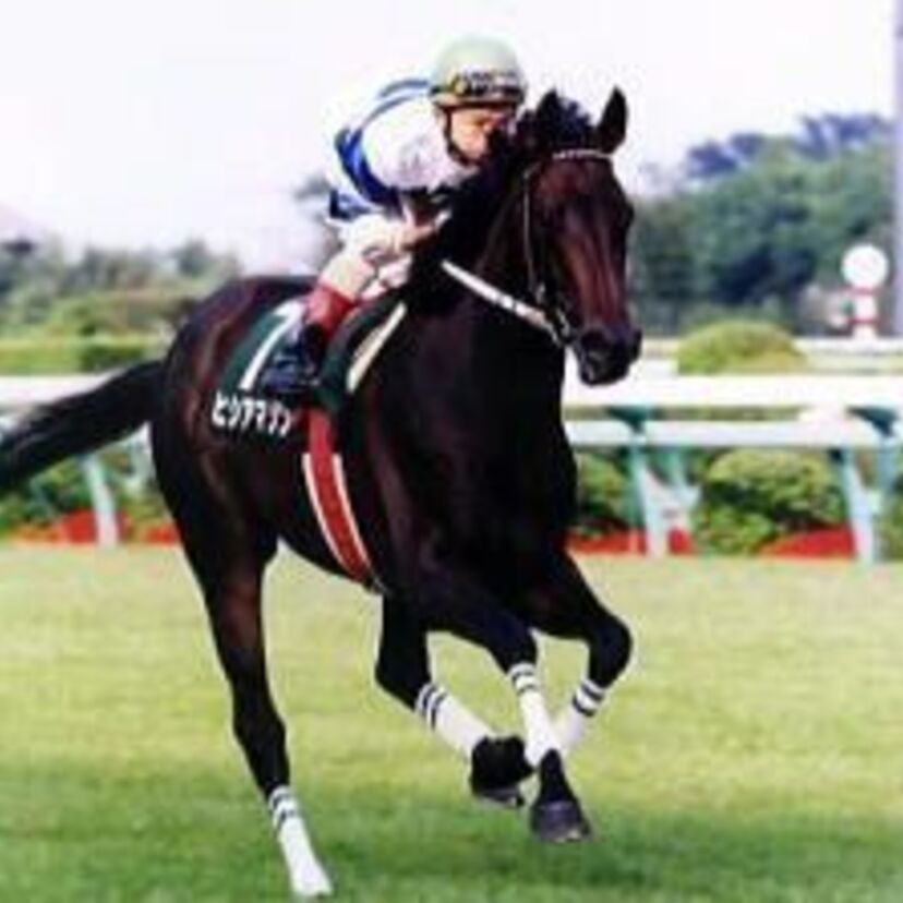 【異端の最強牝馬】ヒシアマゾン
