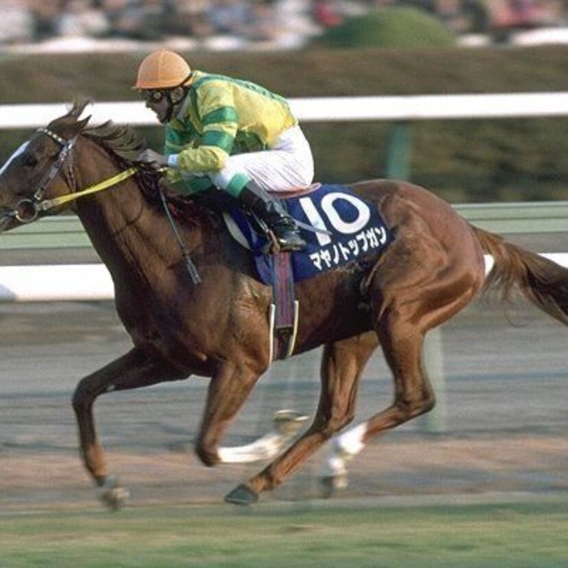 逃げても勝てる、追い込んでも勝てる！変幻自在の名馬マヤノトップガン