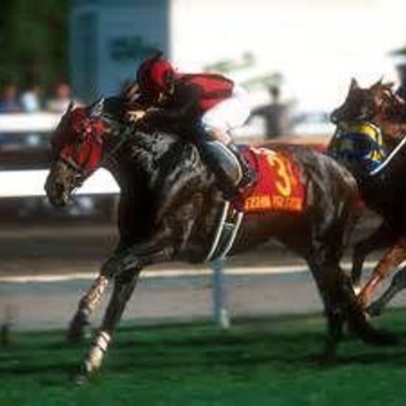【栄進寳蹄】海外レース勝利を身近にしてくれた名馬エイシンプレストン