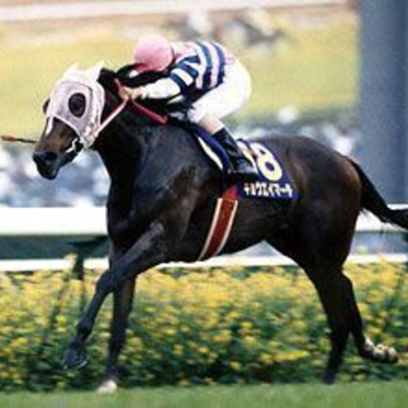 【速く、強く、美しく】時代を駆け抜けた名馬キョウエイマーチ