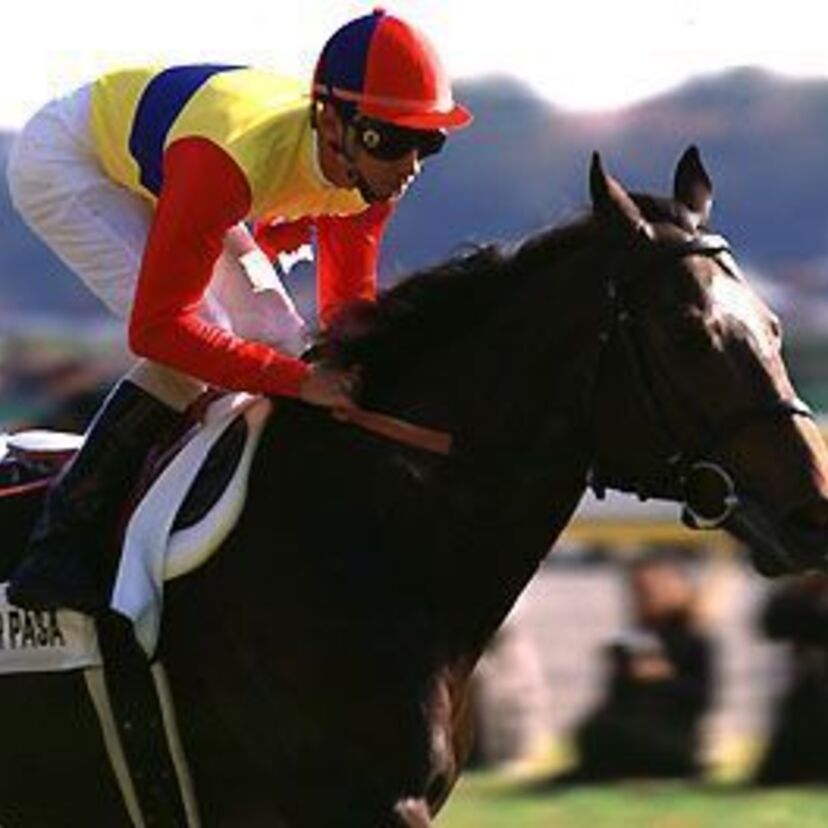 世界へ飛翔した名馬！！エルコンドルパサー