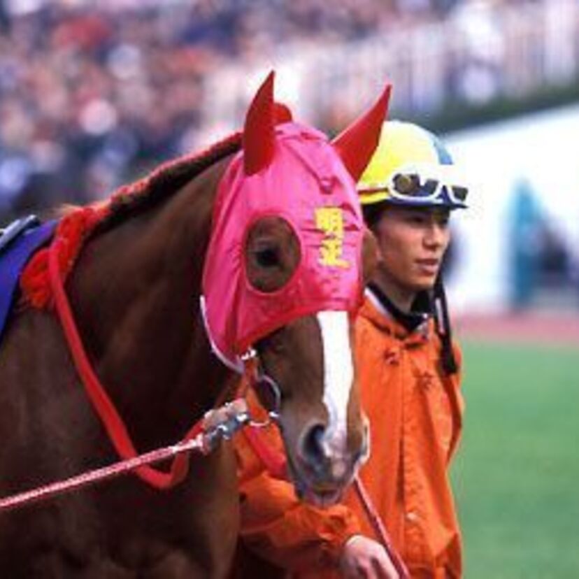 地方の星は本当はこの馬！！メイセイオペラ