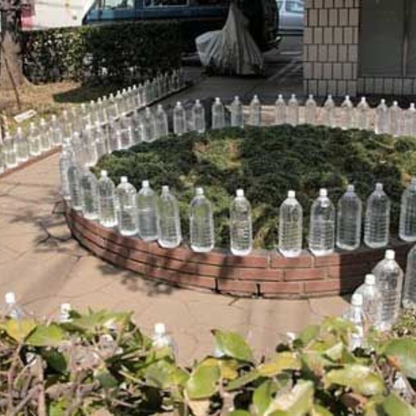 90年代の風景！流行した動物除け。塀沿いに置かれた水入りペットボトルやベランダに吊るされたＣＤ。ご自宅で皆試していましたよね！