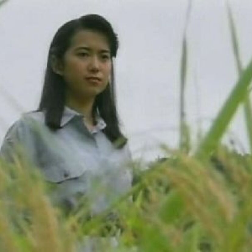 1994年初々しい！和久井映見主演の感動ドラマ「夏子の酒」