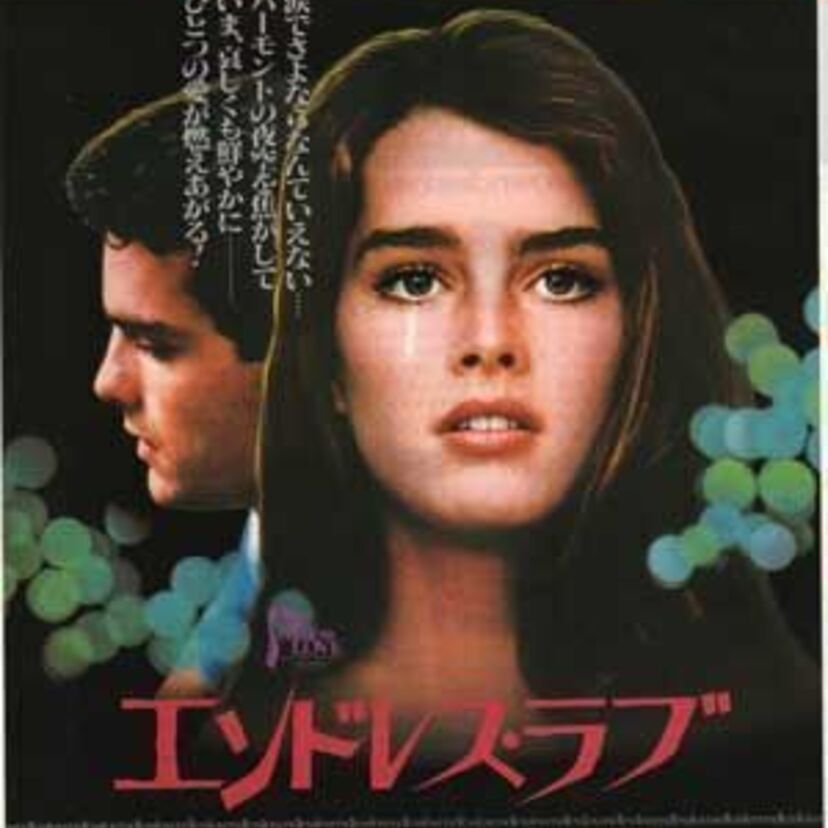 恋する二人の禁断青春ラブ映画『エンドレス・ラブ』一度恋に落ちたら反対されても止められない！！