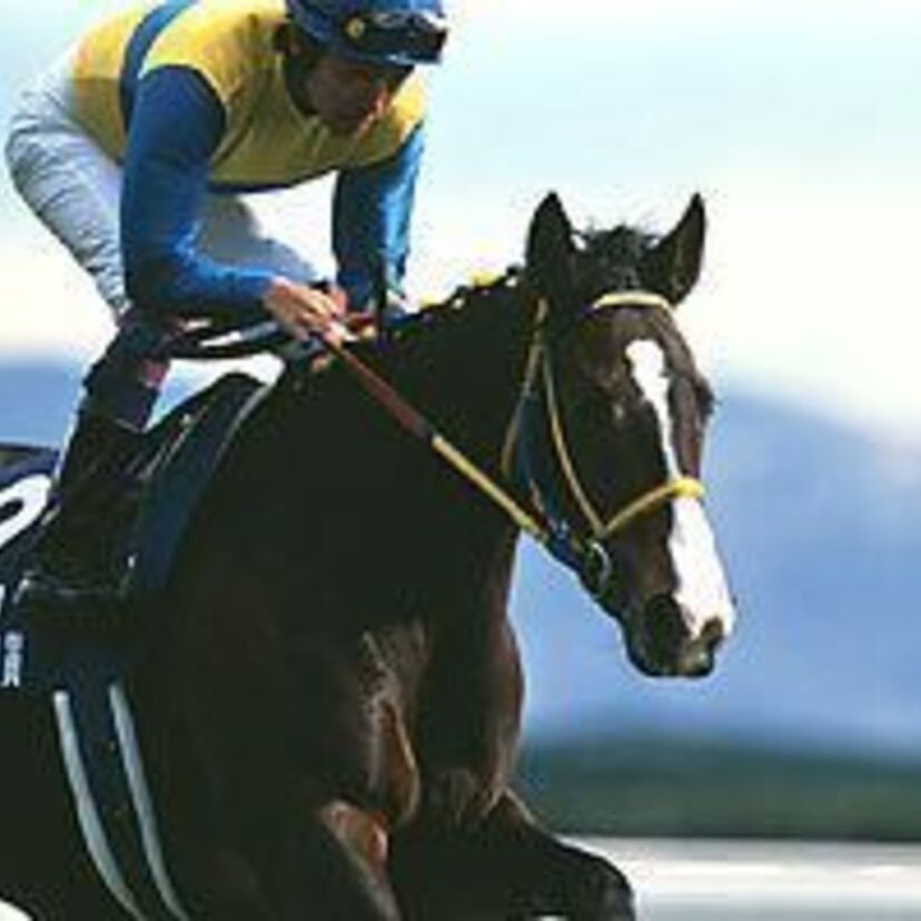 牝馬最強伝説の幕開けはここから！！エアグルーヴ
