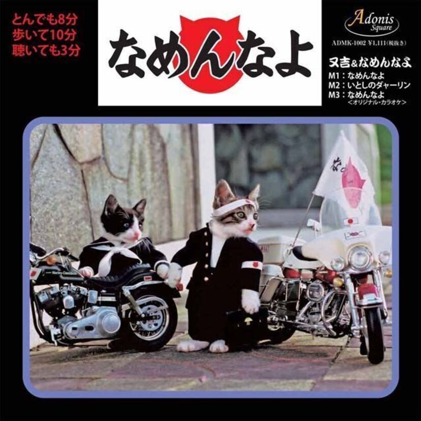 なめ猫、35周年でデビューシングル曲「なめんなよ」が初のCD化！3月30日に発売