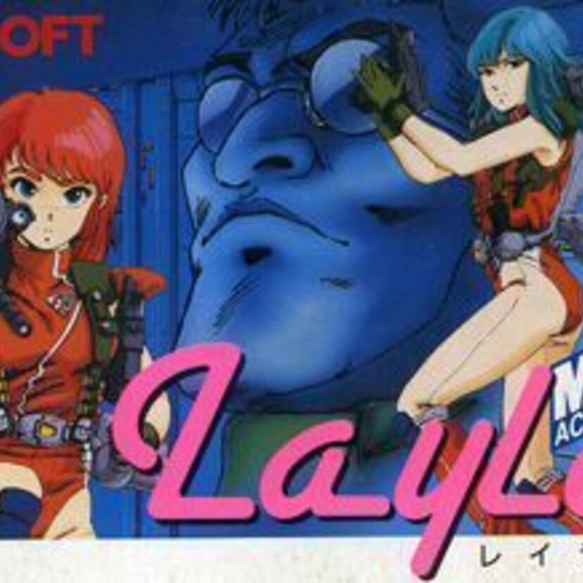 ファミコンソフトに美少女二人が主人公！！敵の企みを防止するために戦うアクションゲーム『レイラ』
