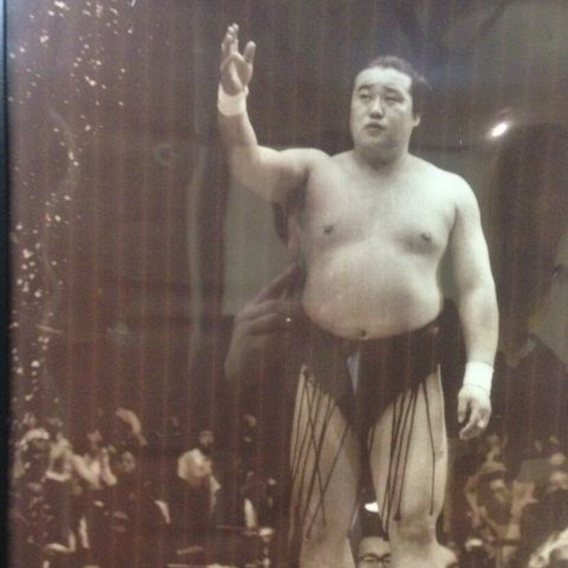 技能派として知られた小結「佐田の海鴻嗣」！現在は二代目も活躍していますね！