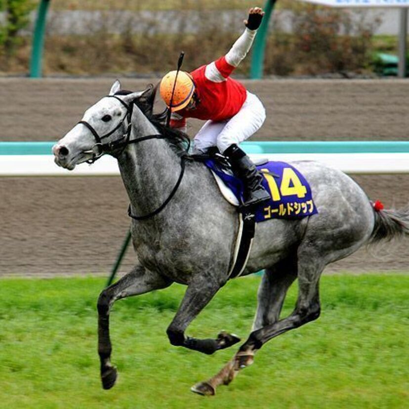 競馬　【天皇賞（春）2015年】混戦が予想される今年のレースですが、過去のデータを振り返る。
