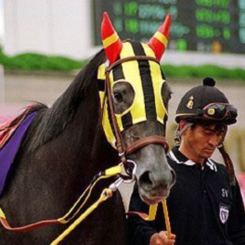 フランス生まれの快速牝馬！ファビラスラフイン
