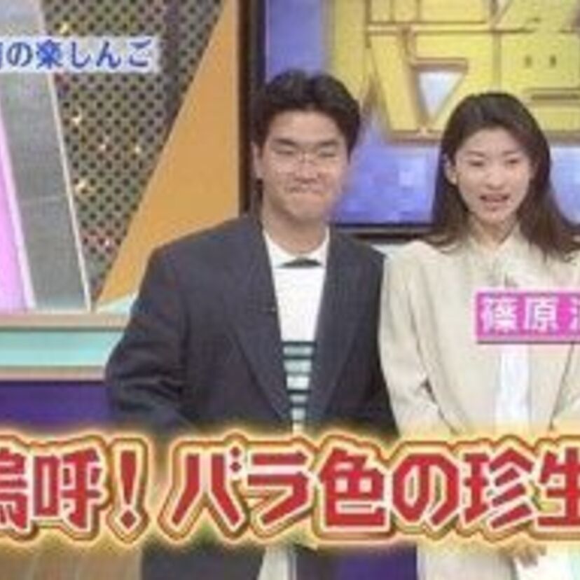 感動の涙が止まらない…。【バラ珍】嗚呼バラ色の珍生で、きれいな涙を流そう！