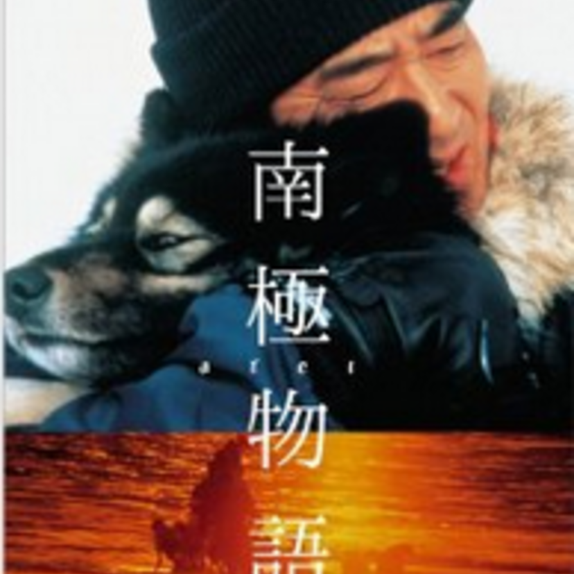 映画『南極物語』南極に置き去りにされた犬たちの生きるための闘い