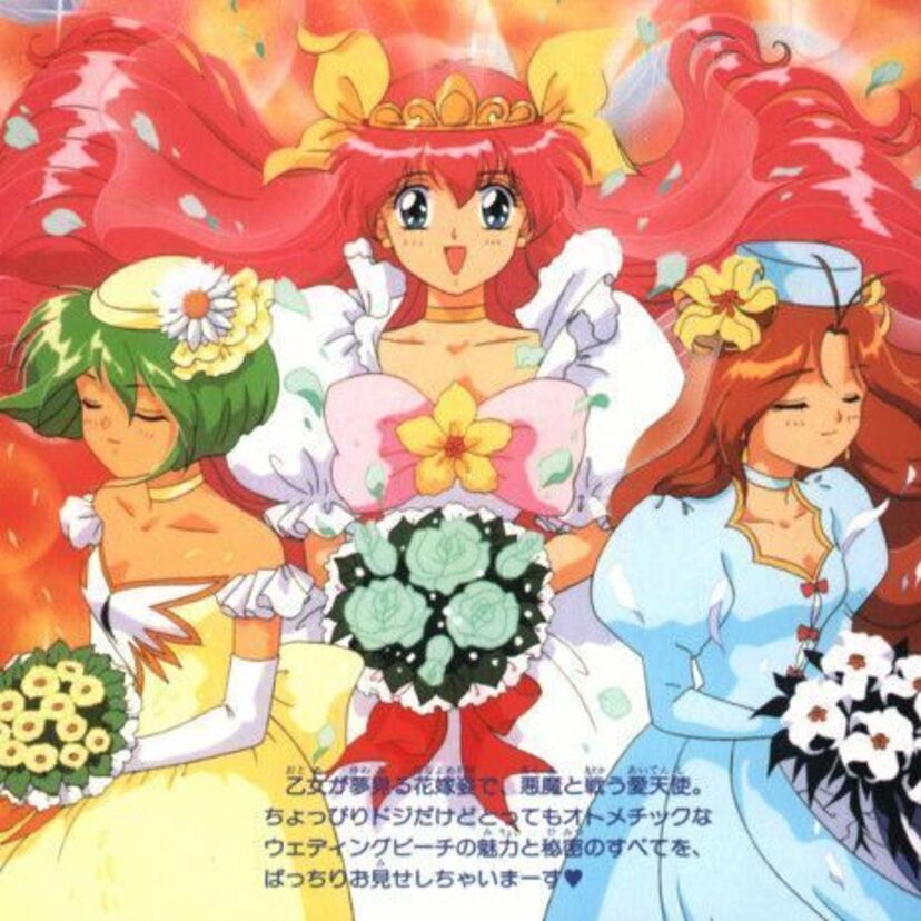 『愛天使伝説ウェディングピーチ』（1995年4月5日 - 1996年3月27日・テレビ東京系列）愛天使たちが愛のウェーブで悪魔と戦い浄化していくお話