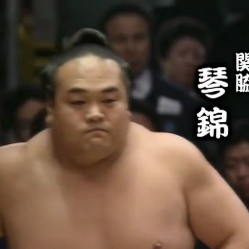 【琴錦】大相撲史上唯一となる２度の平幕優勝を成し遂げたスピードスター