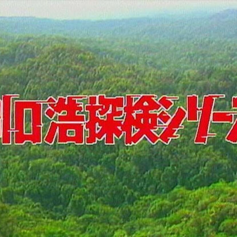 【水曜スペシャル】冒険は男のロマン、川口浩探検隊は僕らのヒーローでしたね！！