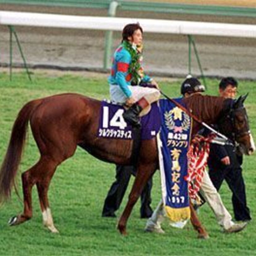 あいつと一緒に鍛えた末脚！友への優しさこそが正義のシルクジャスティス