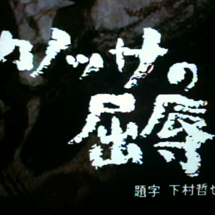 【カノッサの屈辱】復活して欲しいTV番組