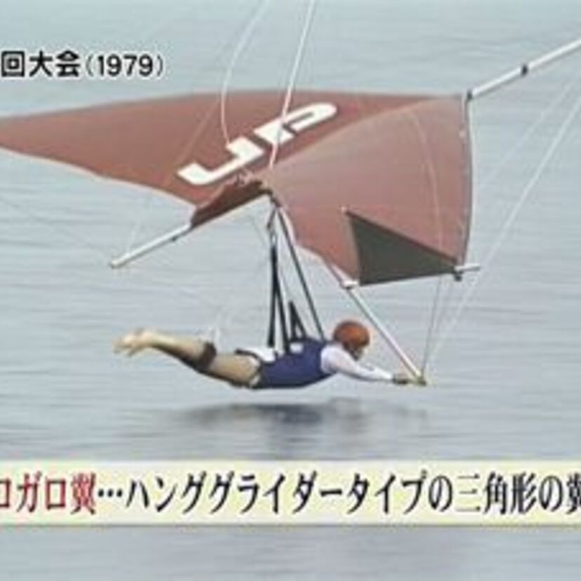 鳥人間コンテスト！飛行距離の限界に挑み、そして鳥になった！　
