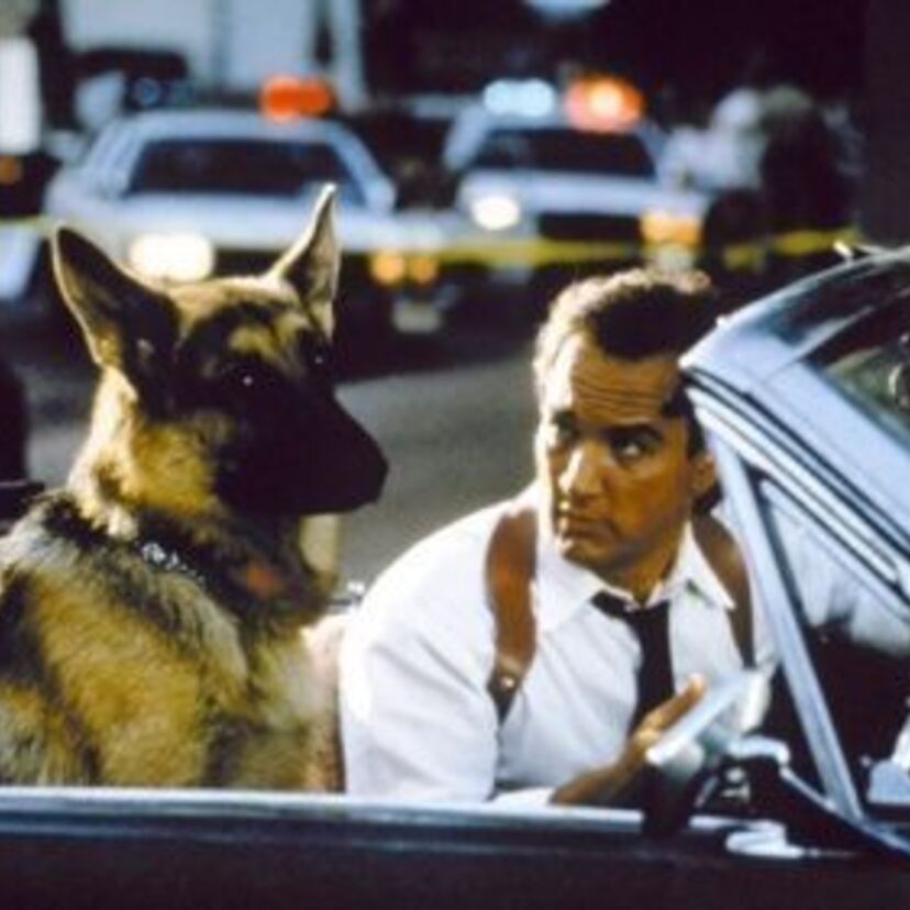 警察犬Ｋ-9と無骨な刑事の凸凹コンビ。笑いと感動の最高傑作でしたね。