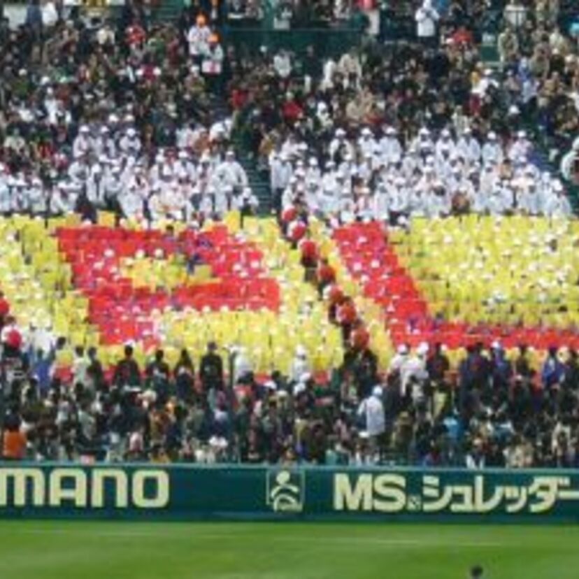 甲子園球場の風景！ラッキーゾーン、かちわり氷、砂、ツタ、ブラスバンド、人文字！