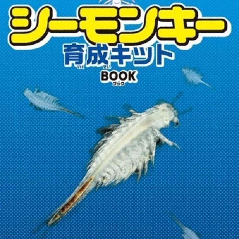 昭和時代に大流行した“海の怪獣”「シーモンキー」が育成キットで発売！！