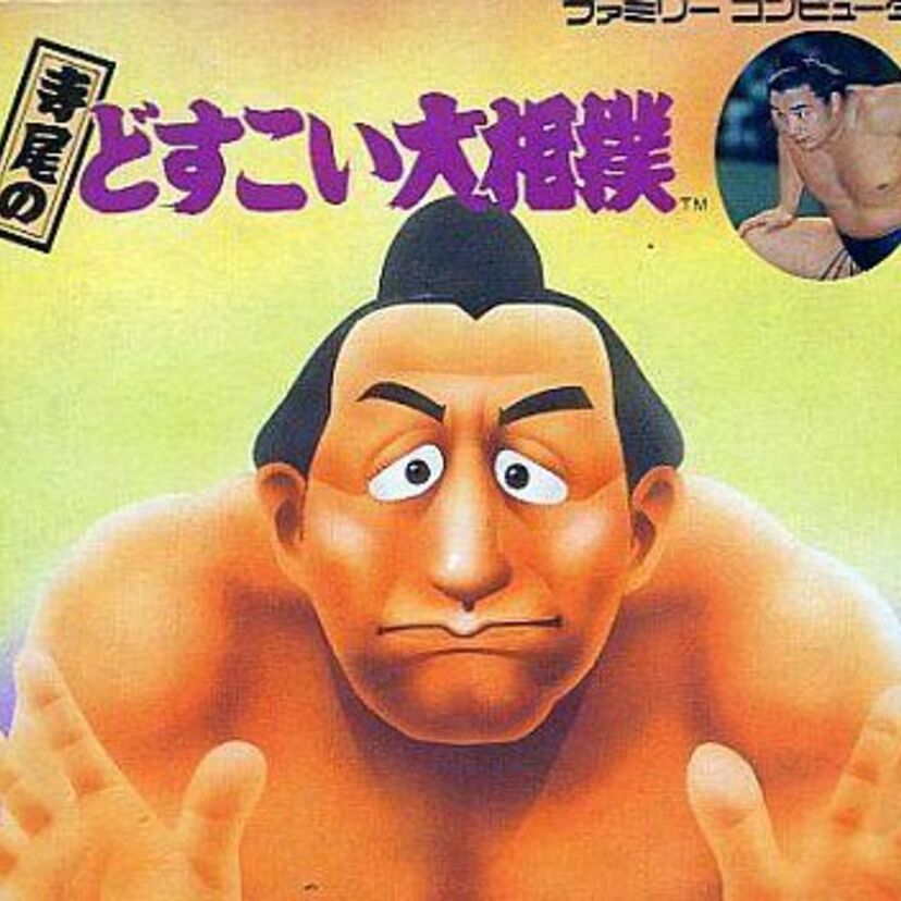 ファミコンソフト『寺尾どすこい大相撲』甘いマスクと筋肉質の寺尾関が主人公になった相撲アクションゲーム！！