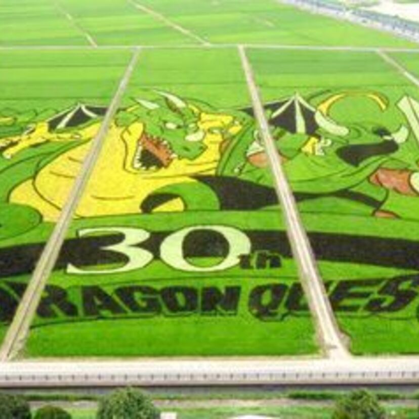 埼玉県行田市の「ドラクエ田んぼアート」！会心の一撃ならぬ会心の出来！！