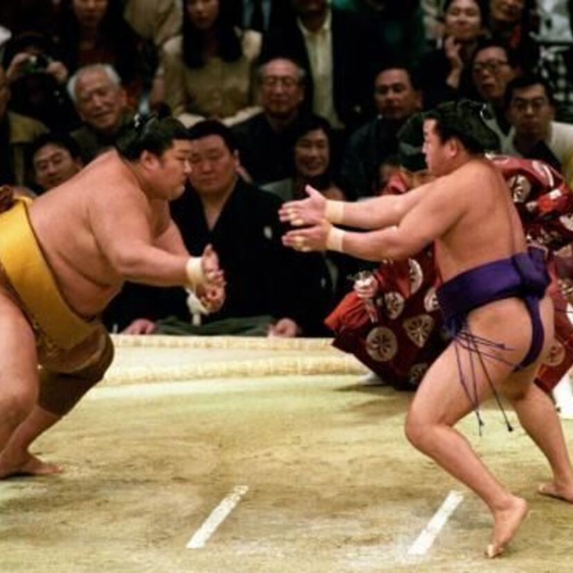 技のデパート舞の海！頭にシリコンを埋め角界へ！猫だましに騙された！