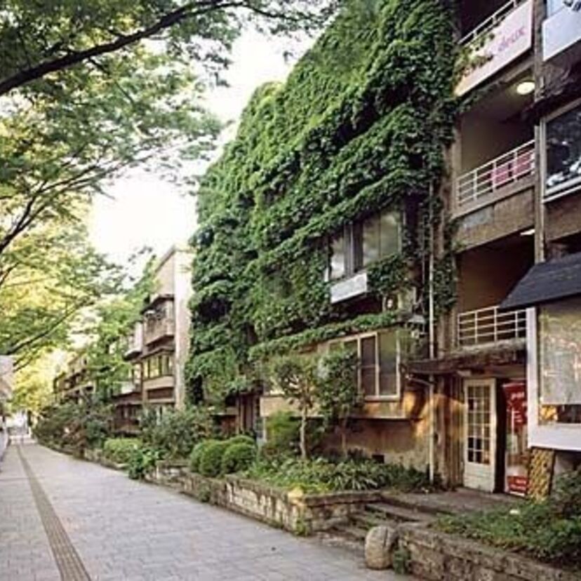 同潤会・青山アパートメントの風景！Xmasの表参道デートは彼女と電飾が綺麗だった